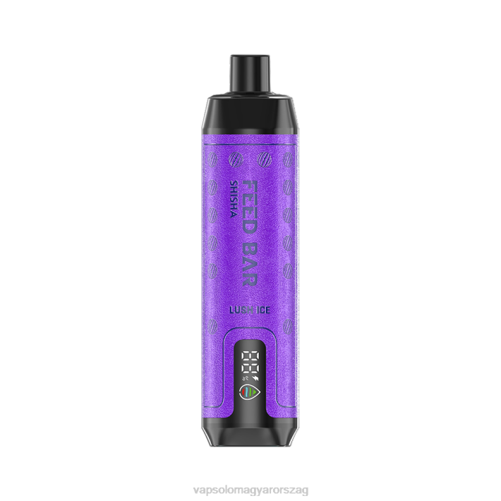 VapSolo Magyarország - buja jég VapSolo SHISHA eldobható vape 84288